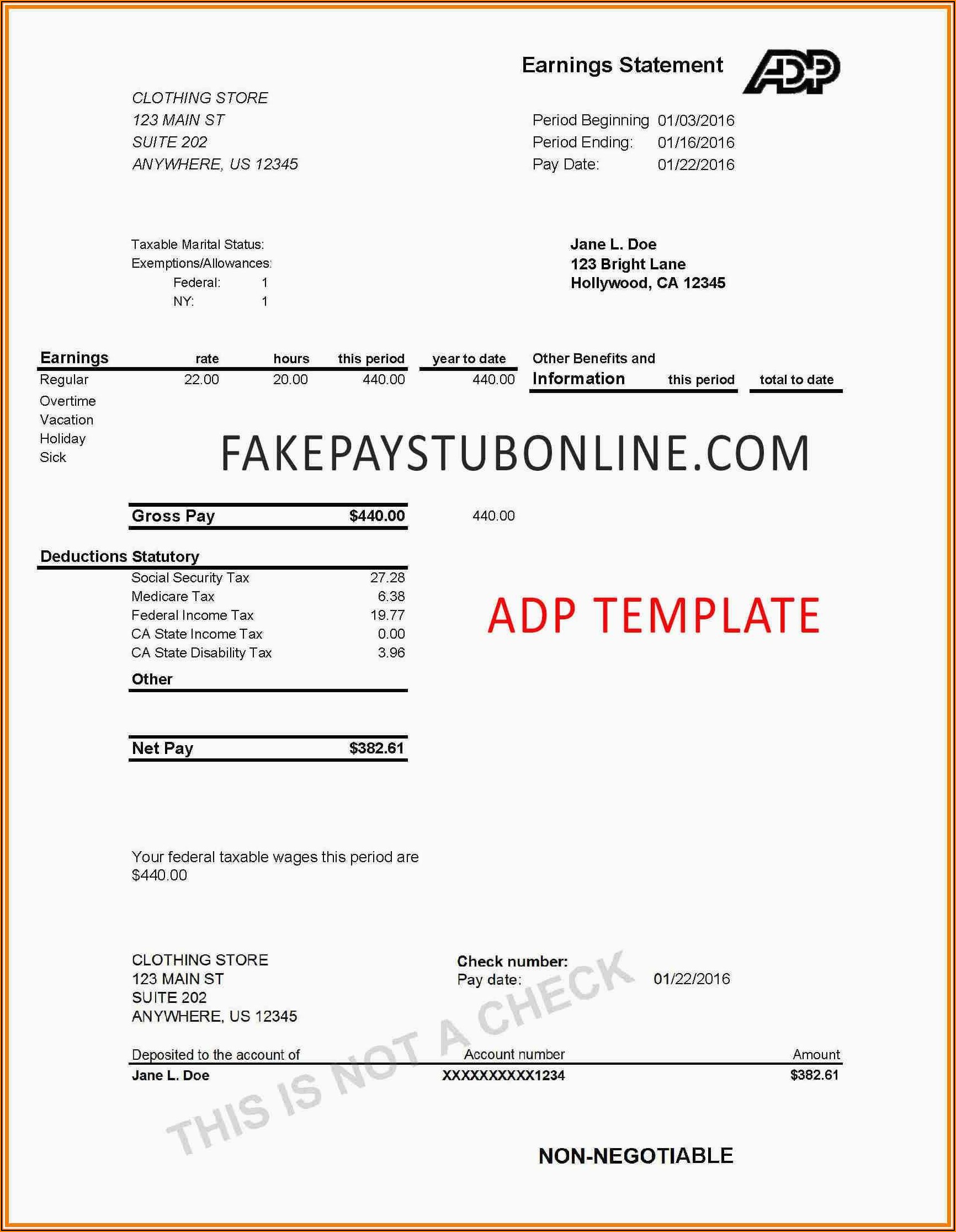 Fake Pay Stub Template Adp