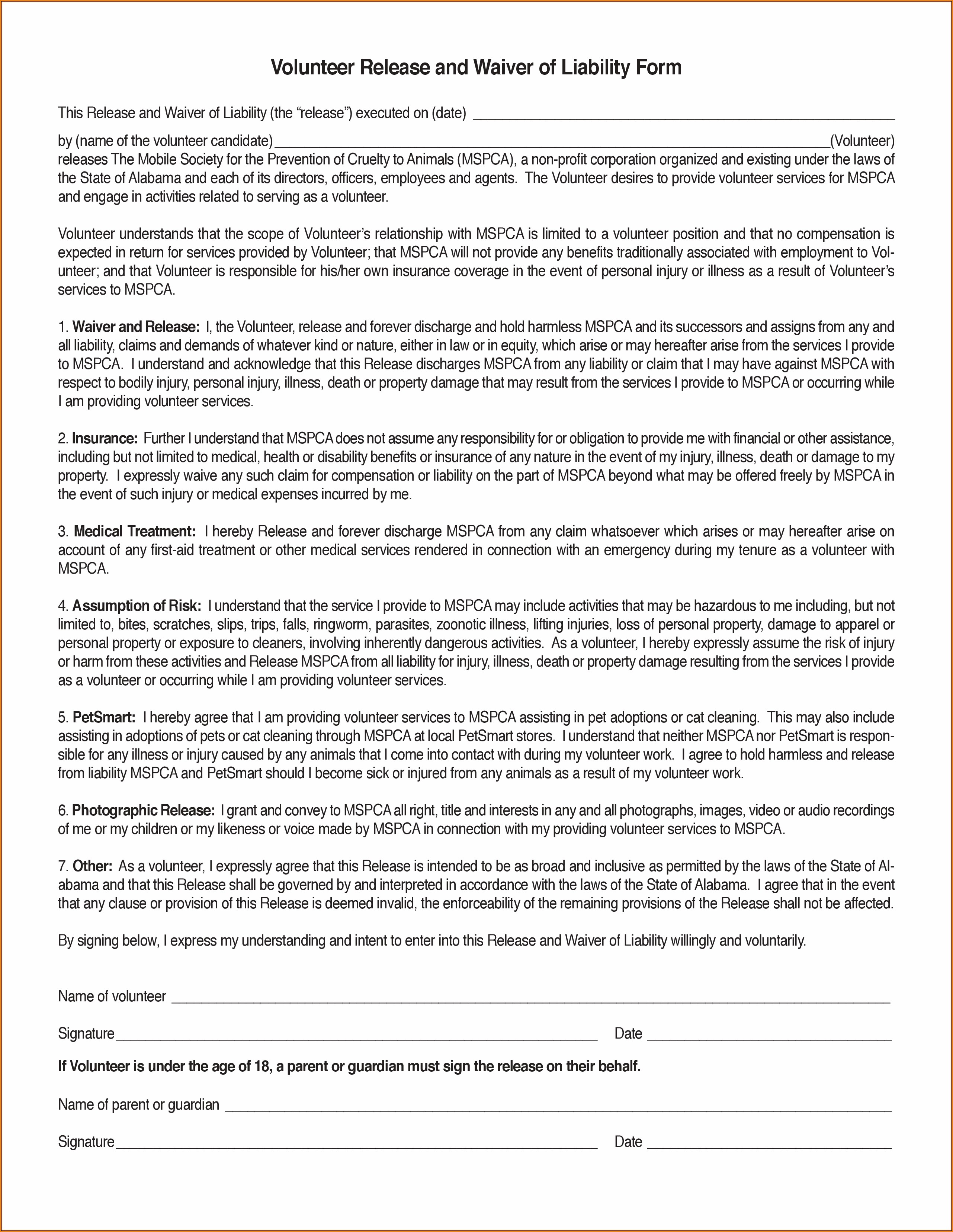 Volunteer Liability Waiver Template