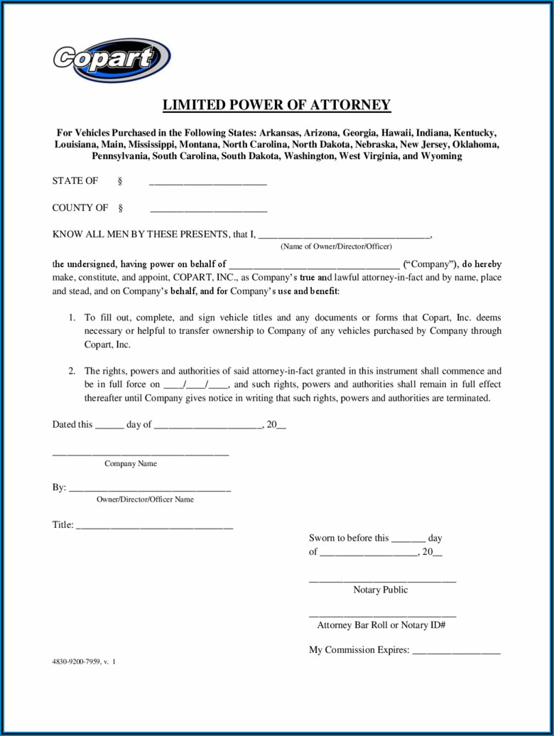 Free Limited Power Of Attorney Form Pdf