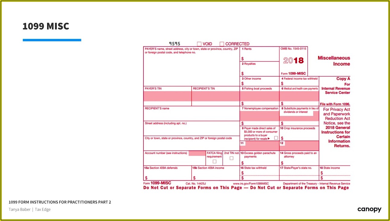 Irs 1099 Int Form Instructions