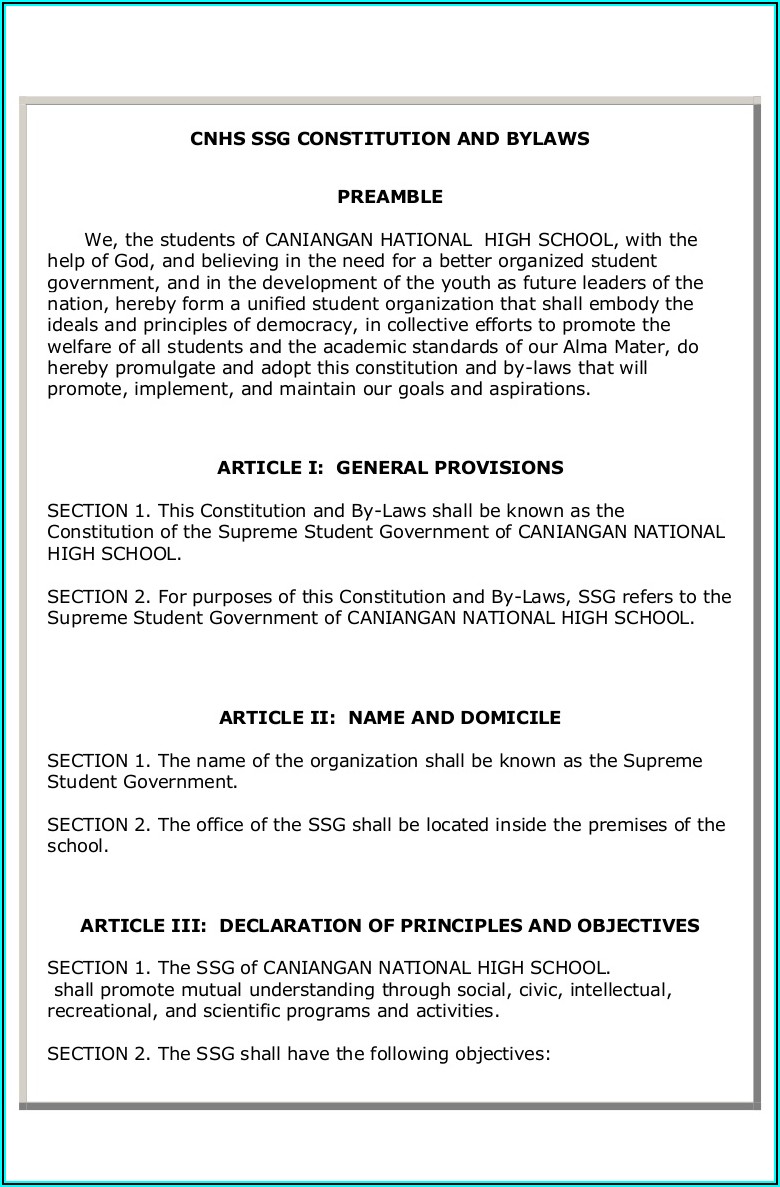 Sample Constitution And Bylaws Template