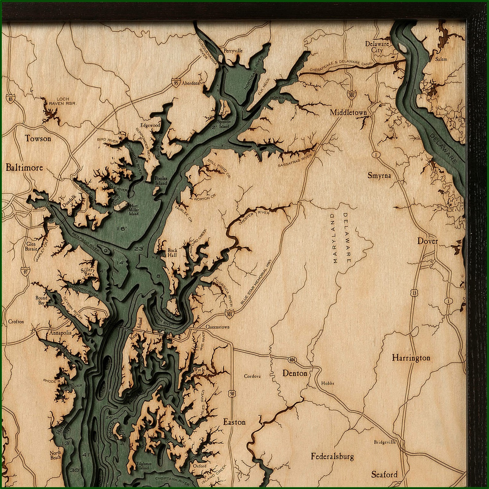 Chesapeake Bay Topographic Map