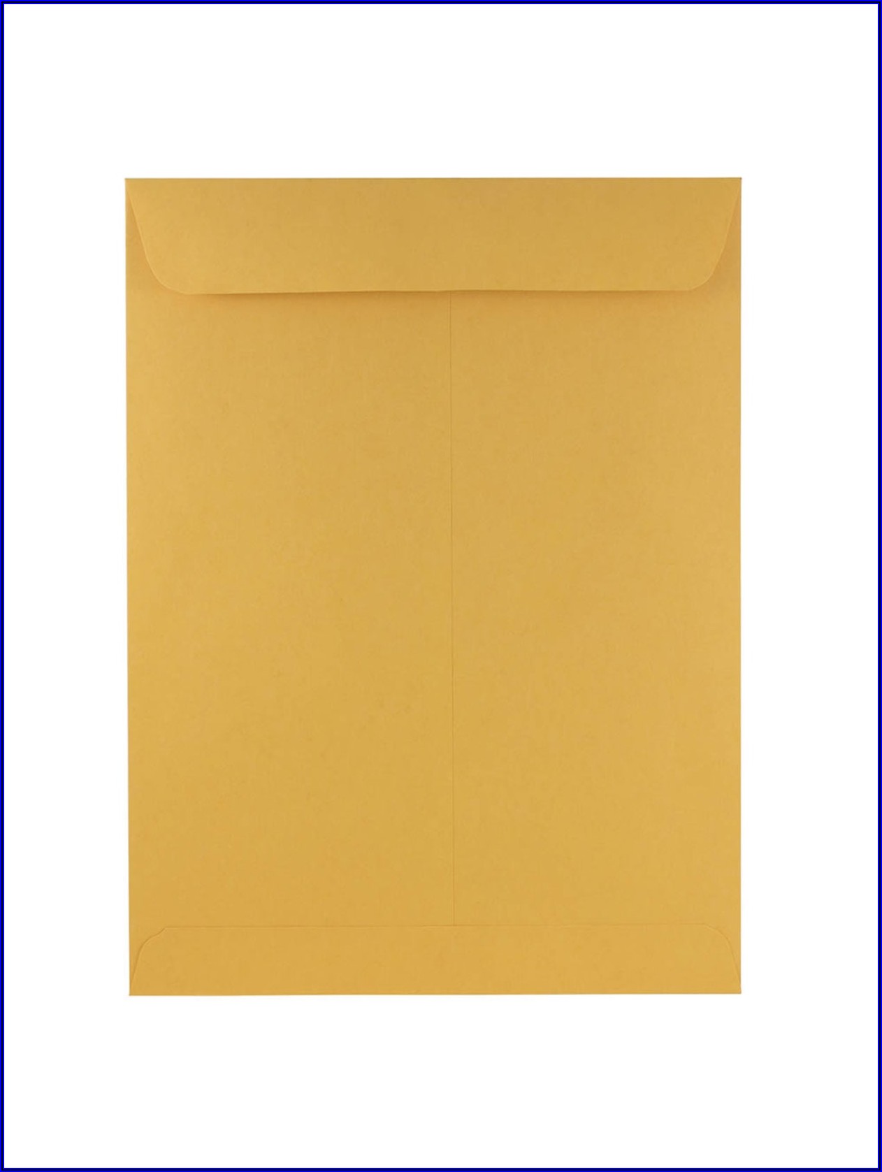 Jam Paper Envelopes 9x12