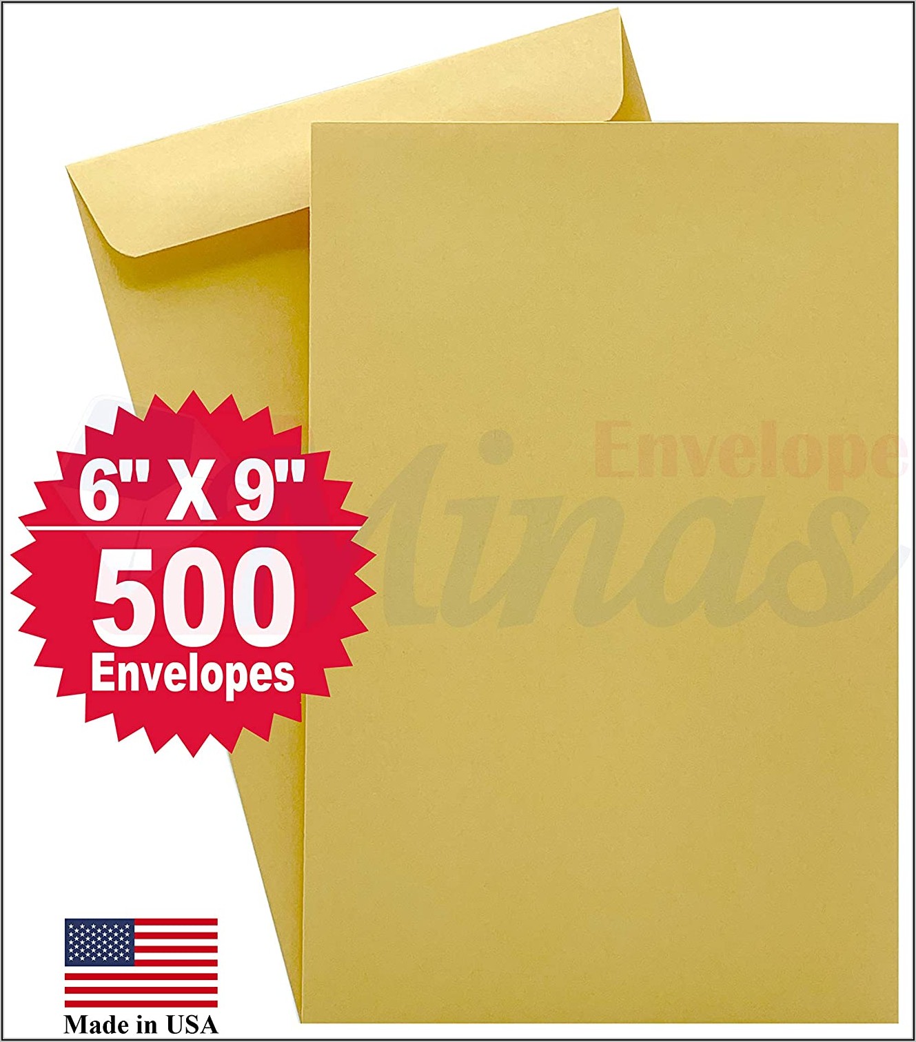 6 X 9 Catalog Envelopes