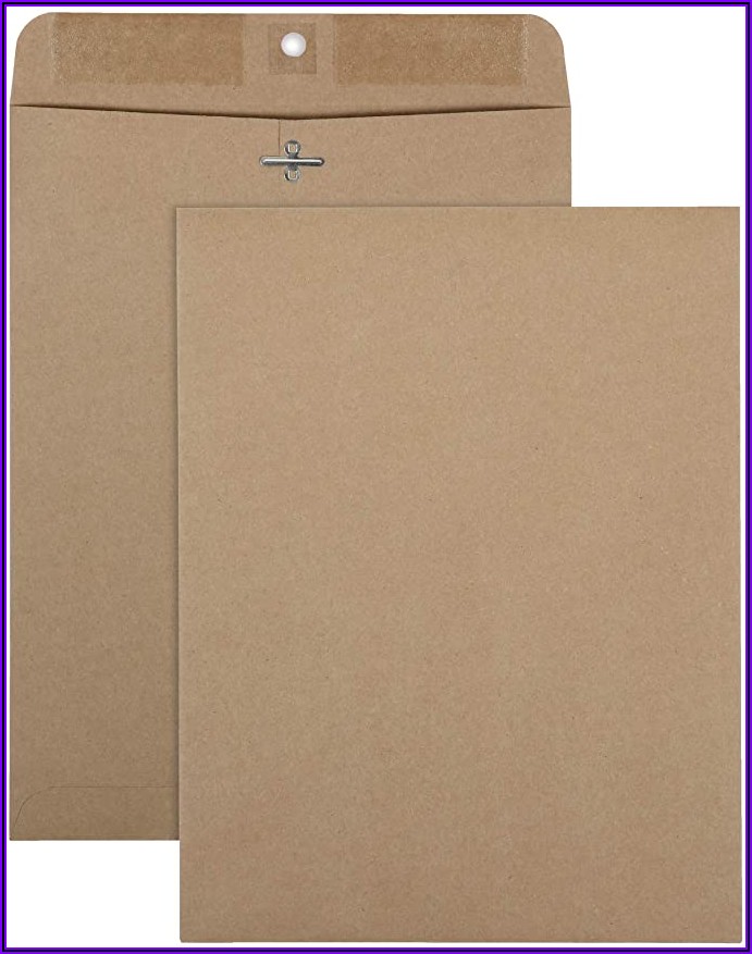 Brown Kraft Clasp 9x12 Envelopes