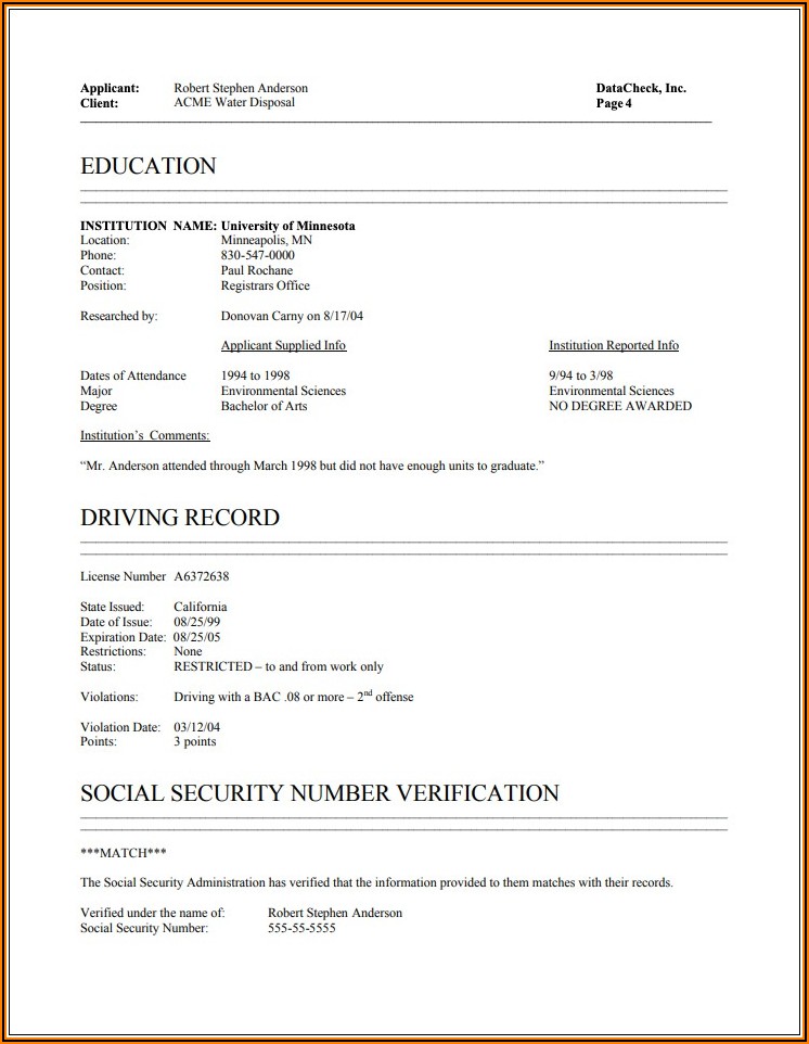 Employee Background Verification Report Format