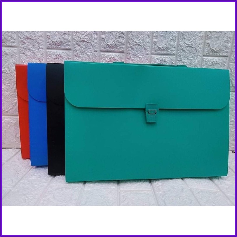 Expandable Envelope With Divider