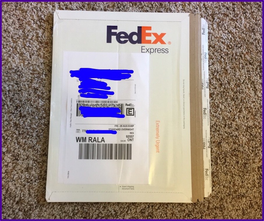 Fedex Standard Overnight Envelope