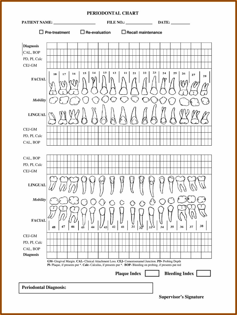 Free Dental Charting Template