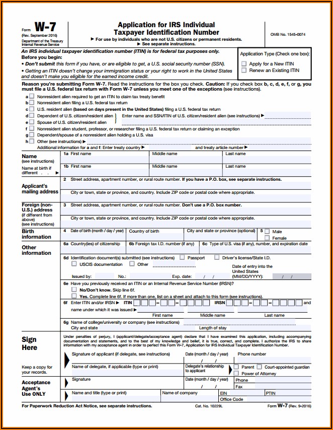 Irs Forms W 7