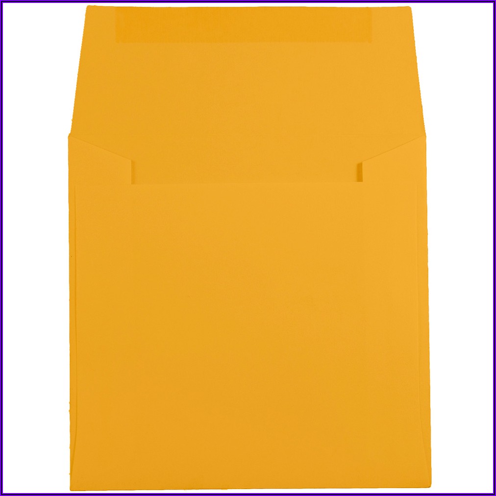 Poly Envelope With Zip Closure