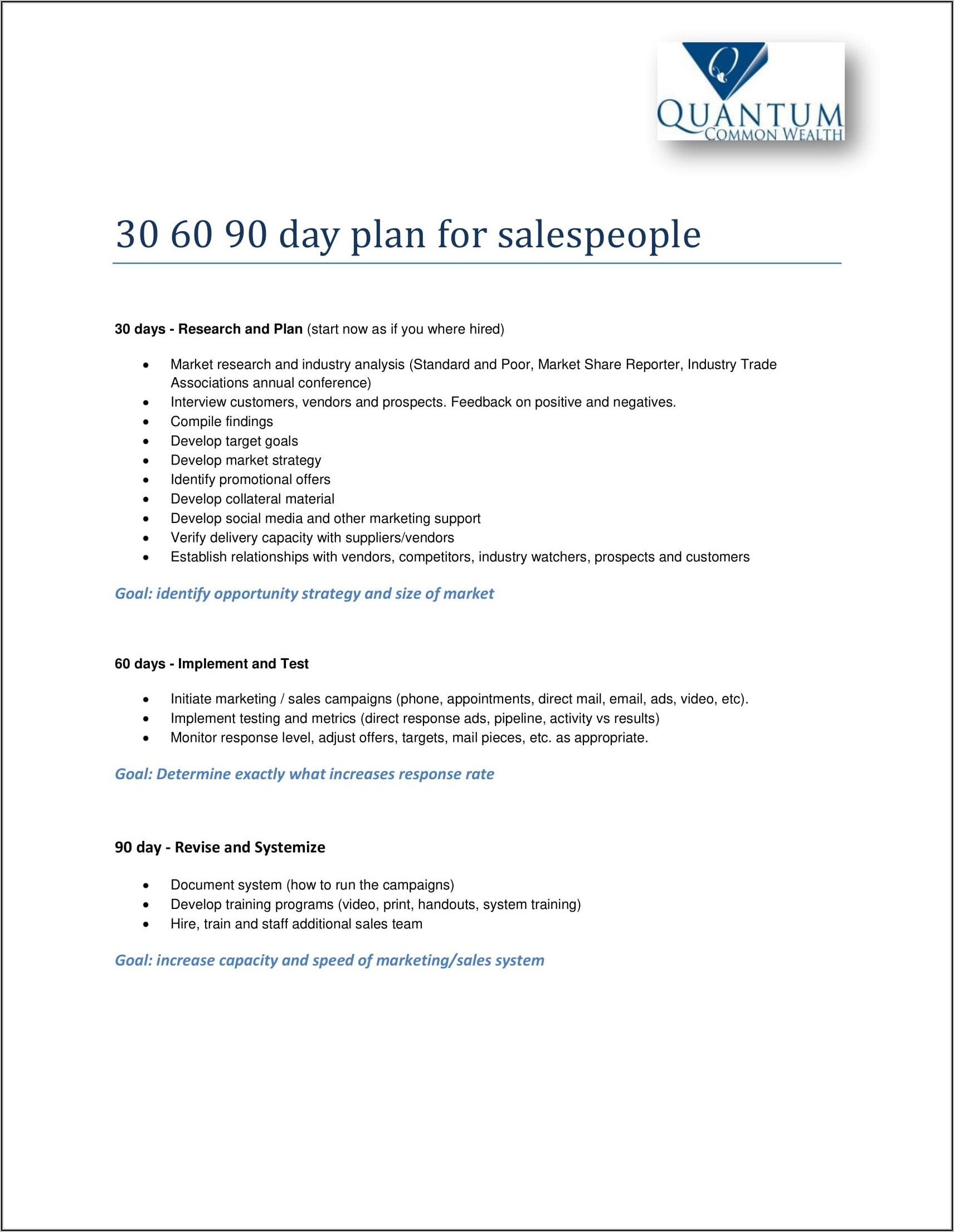 30 60 90 Sales Plan Examples