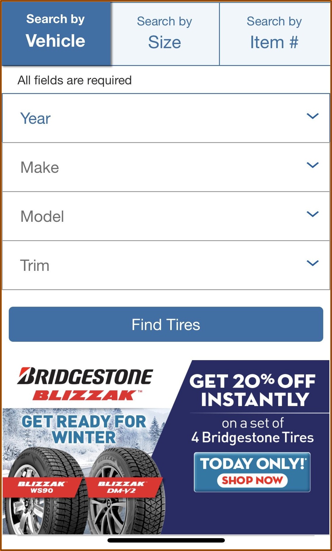 Bridgestone Tire Rebate Form 2019