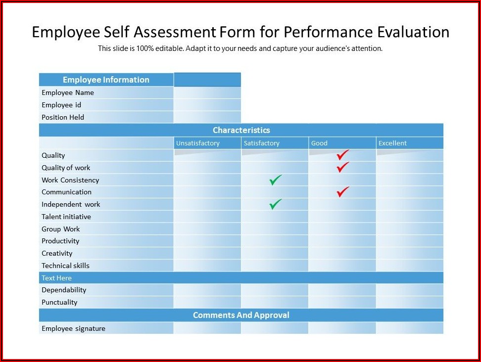 Self Evaluation Form For Employee Performance