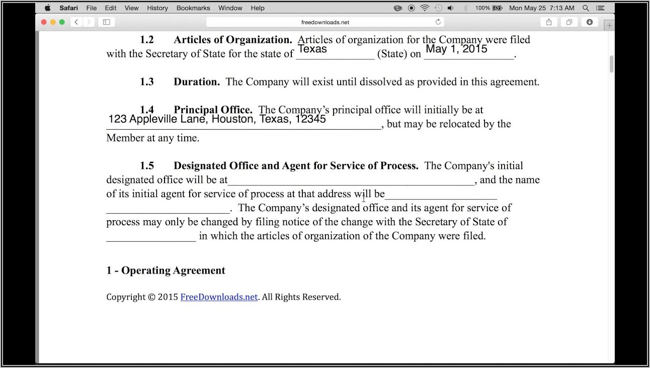 Single Owner Llc Operating Agreement Template