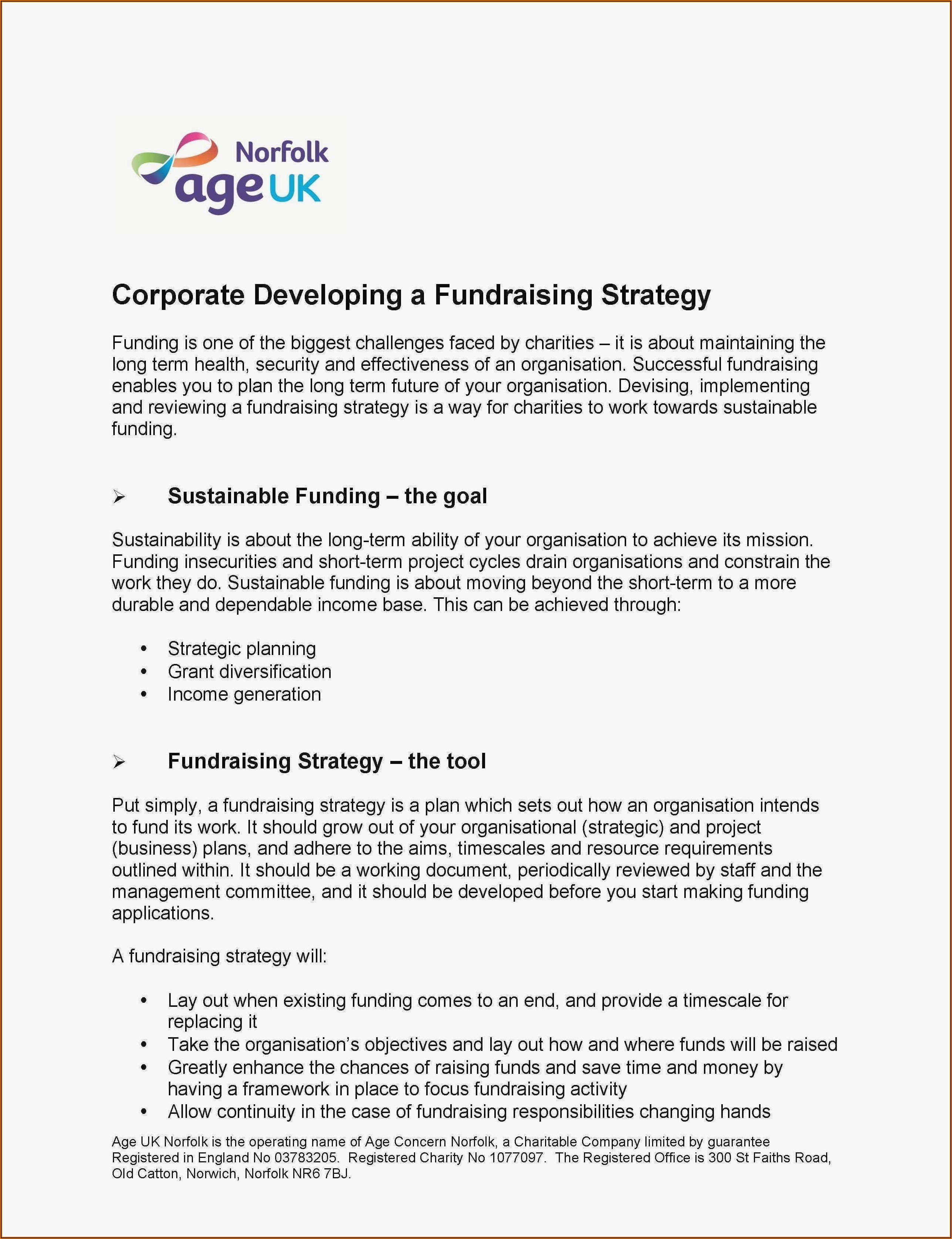 Fundraising Strategic Fundraising Plan Template
