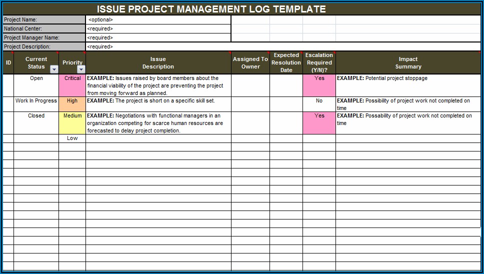 Project Budget Monitoring Excel Template