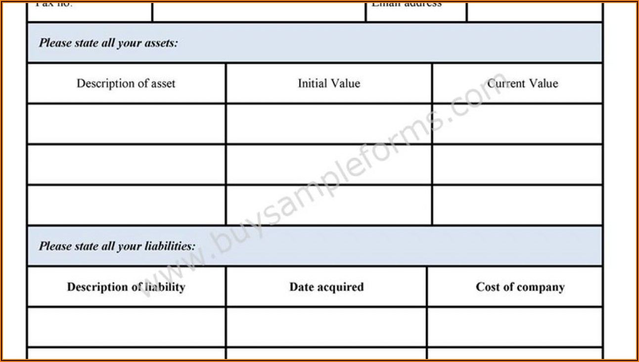 Sample Blank Personal Financial Statement Form