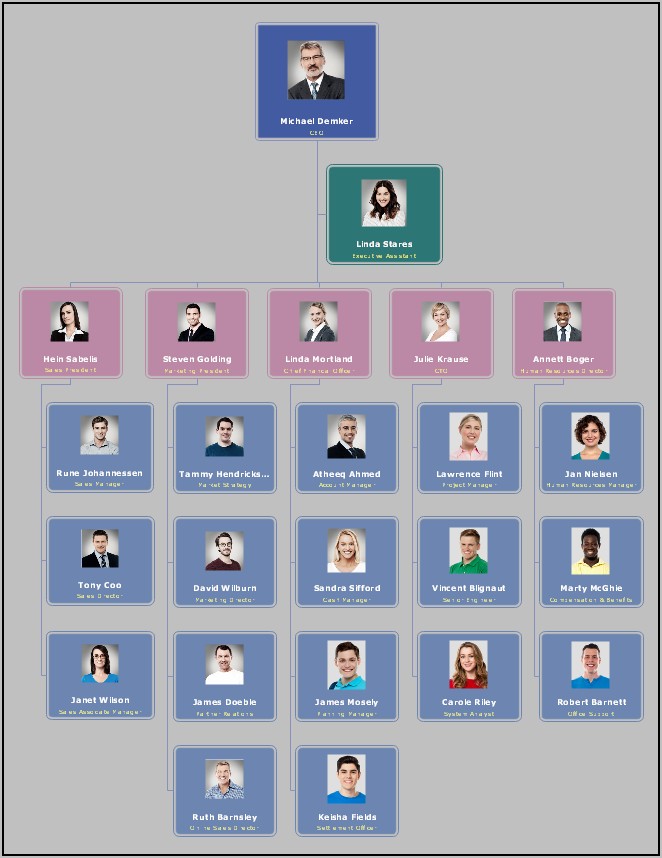 Free Company Org Chart Template