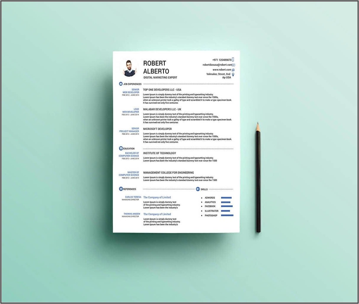 Free Resume Template For Project Manager