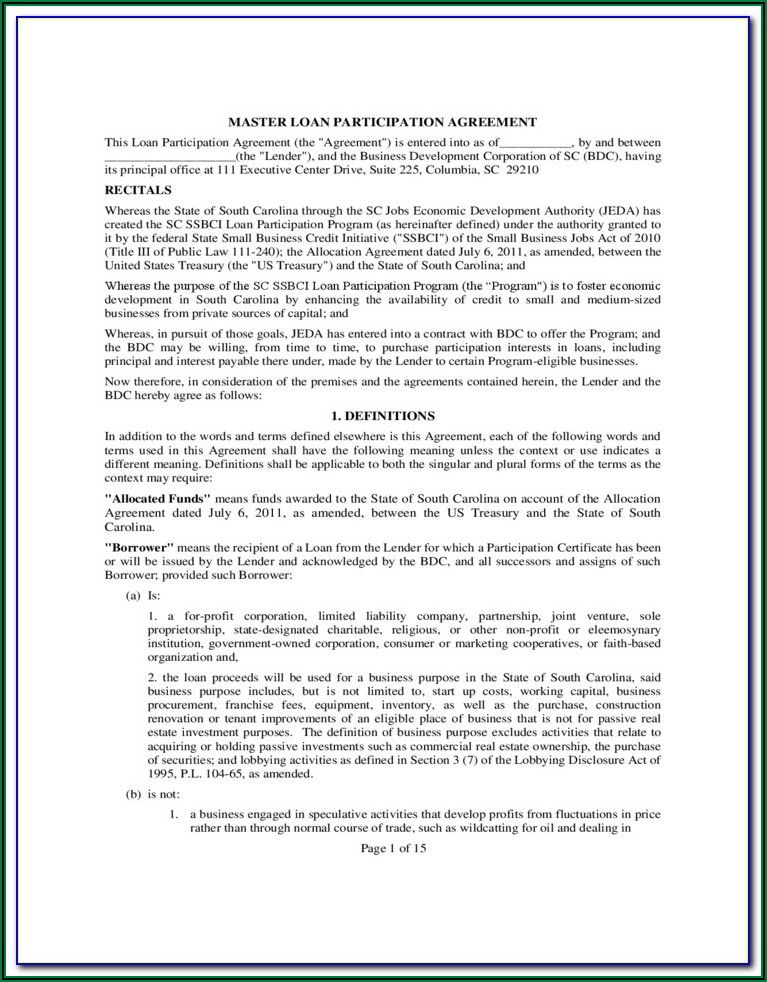 Loan Participation Agreement Template