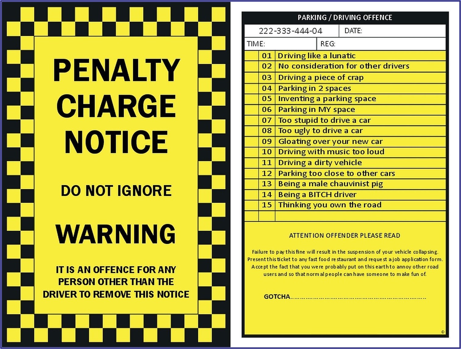 Police Ticket Template Word