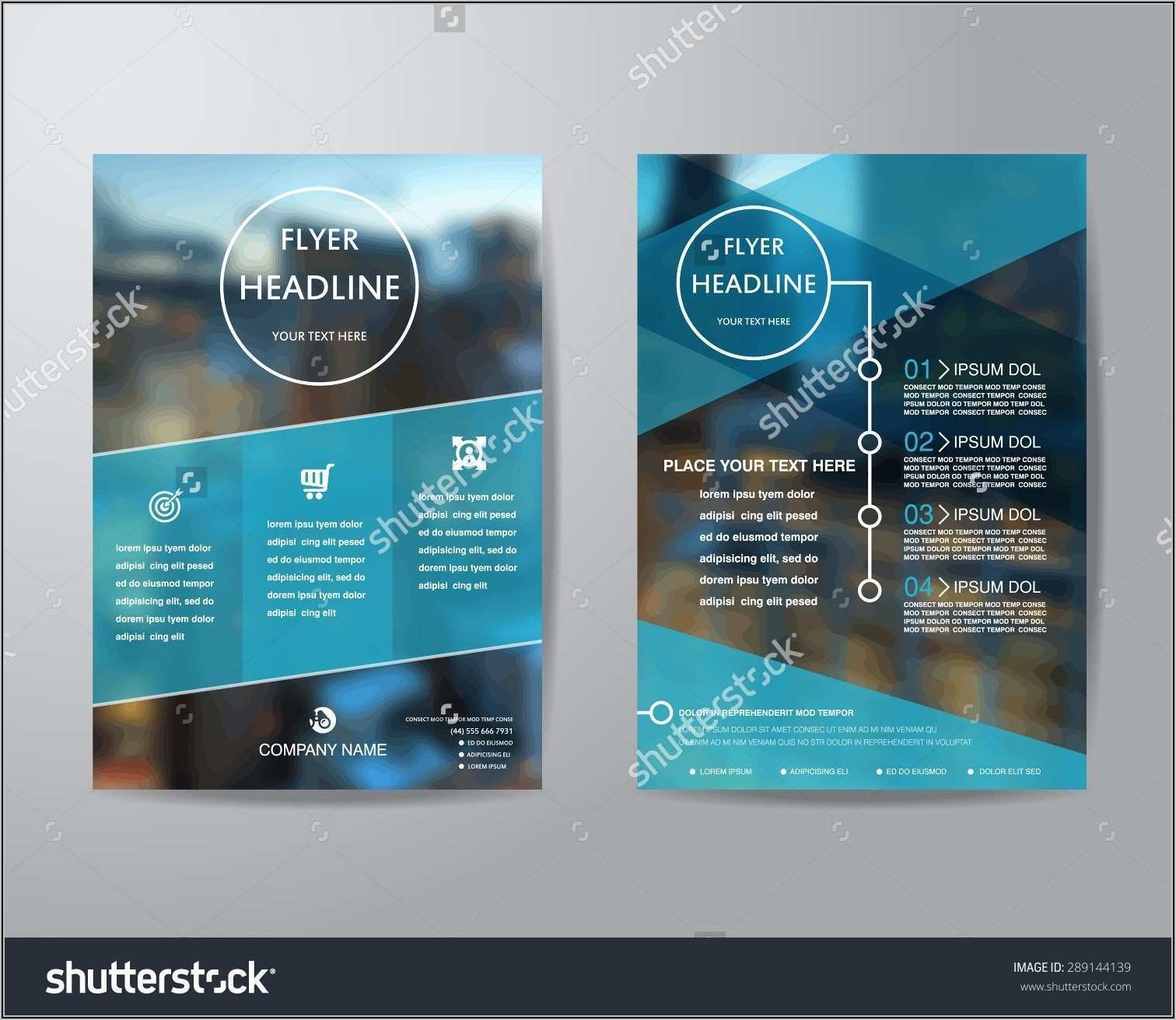 Cleaning Business Flyer Templates Free