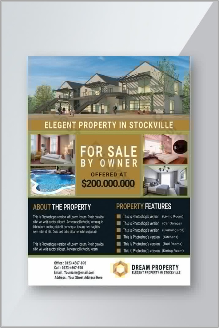 Free For Sale By Owner Real Estate Flyer Template