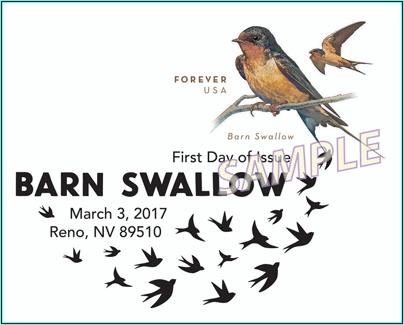 Pre Stamped Envelopes Barn Swallow