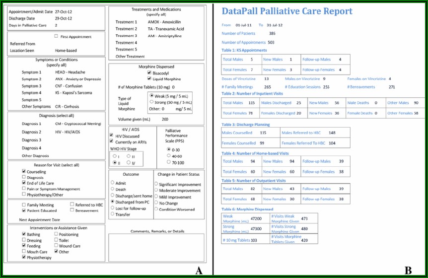 Sample Ems Patient Care Report Template
