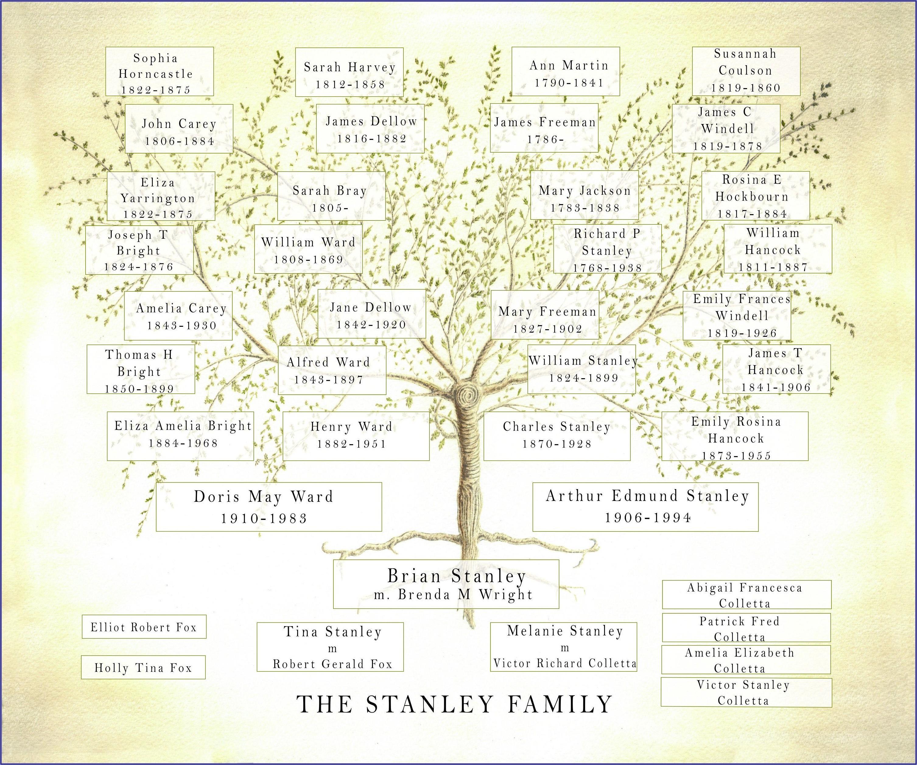 Genealogy Family Tree Chart