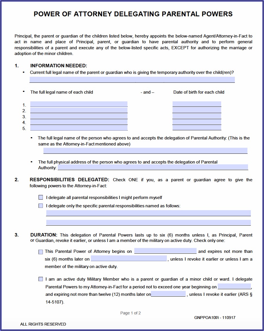 Medical Power Of Attorney Form For Minor Child Florida