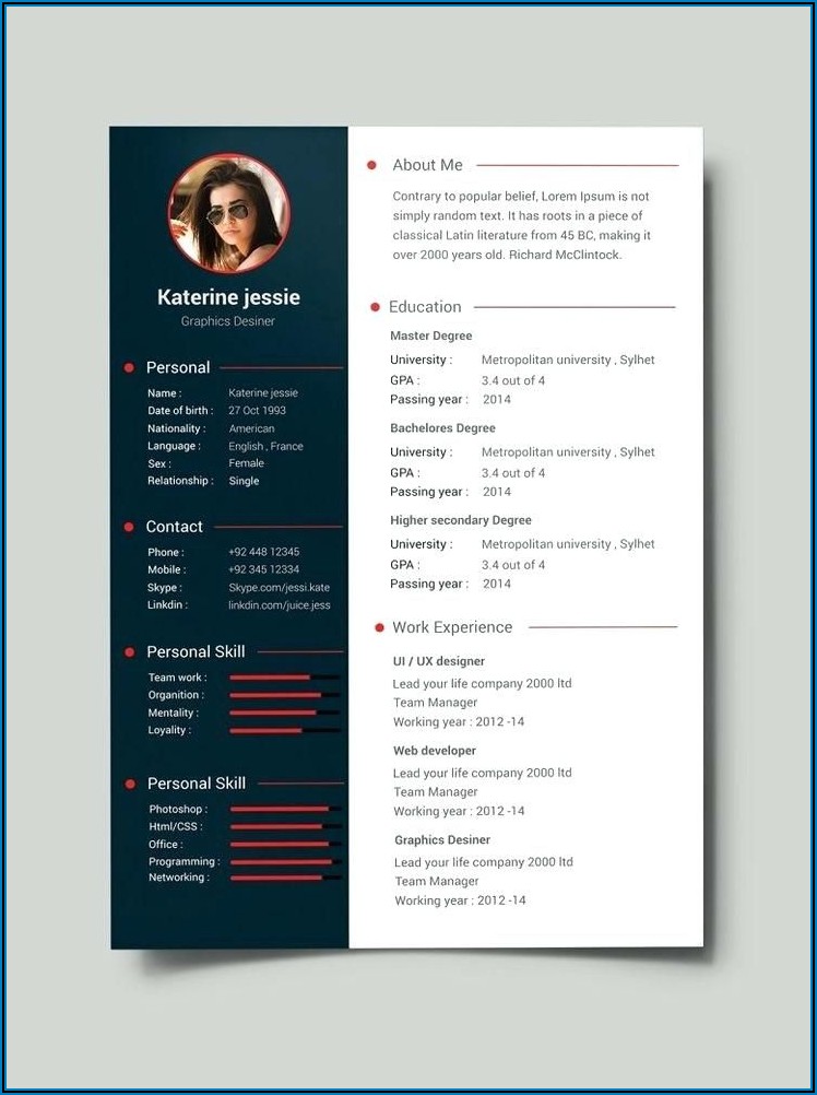 Best Professional Cv Template Free Download