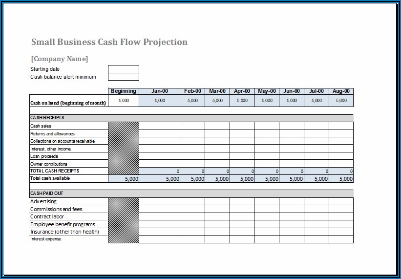 Small Business Daily Cash Flow Template Excel