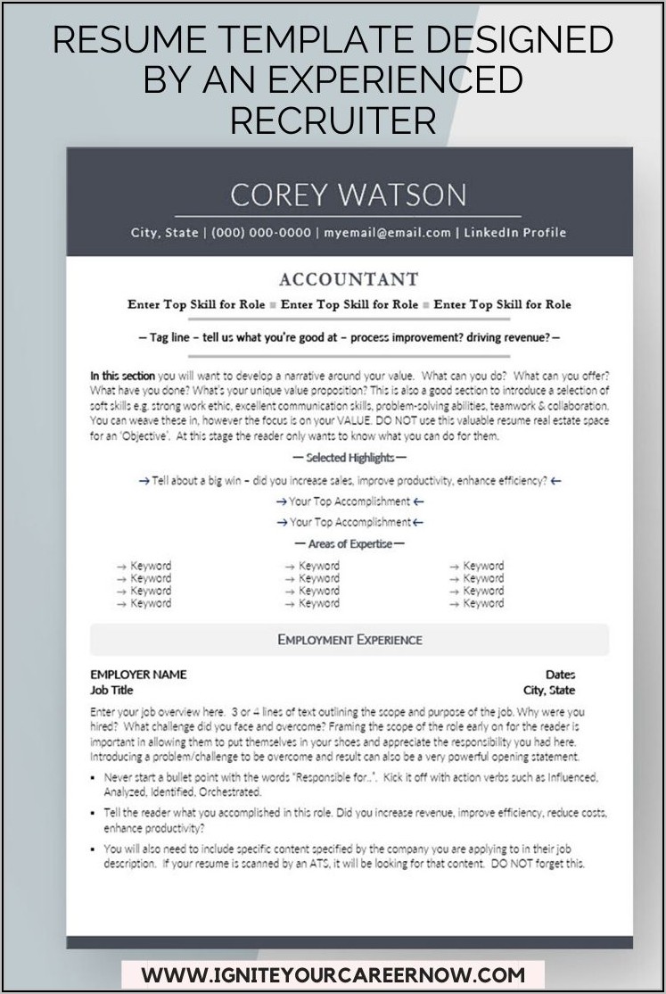 Professional Accounting Cv Template