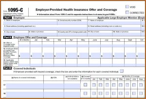 1095 C Form Codes