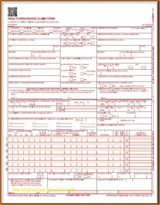 Hcfa 1500 Form Instructions