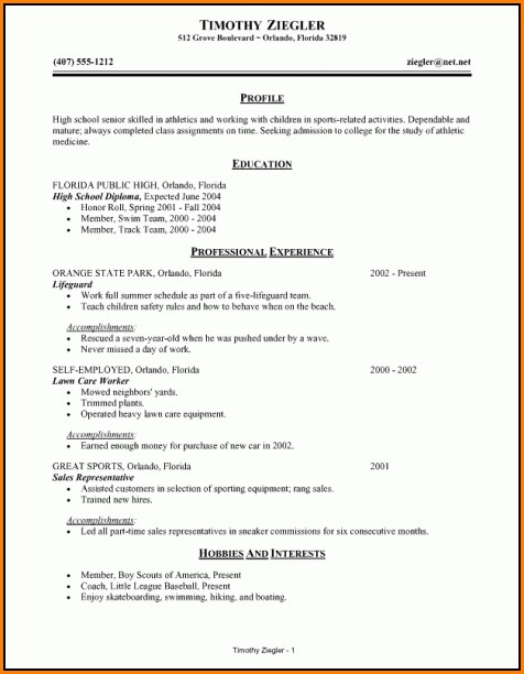 100 Free Resume Builder And Download