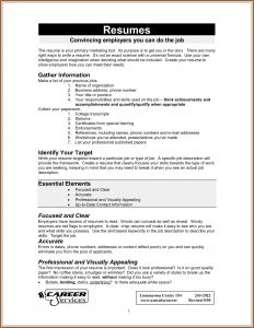 Attractive Resume Format Pdf