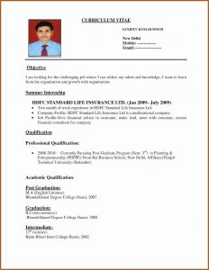 Attractive Resume Format Pdf Download