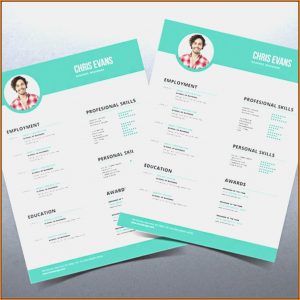 Attractive Resume Templates Free Download