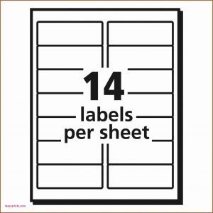 Avery File Cabinet Label Template