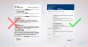 Basic Resume Template Google Docs