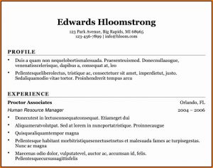 Basic Resume Template Word