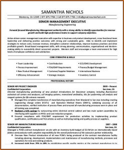 Best Executive Resume Templates