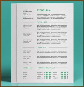 Best Free Resume Templates