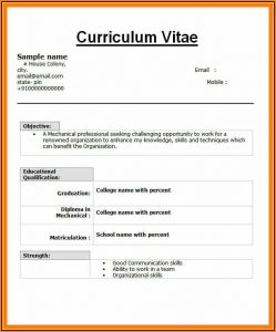 Best Resume Format Download For Fresher