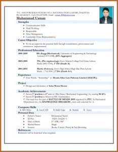 Best Resume Format Pdf Download