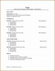 Blank Resume Examples