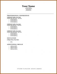 Blank Resume Template Microsoft Word
